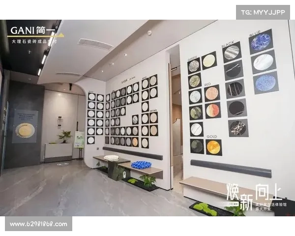 美好家境下的十大交付体验探索让生活更加精致与便捷